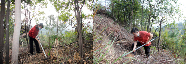 C:\Users\luoyufang\Desktop\20210315義務(wù)植樹\廈門宏業(yè)義務(wù)植樹照片\3.jpg C:\Users\luoyufang\Desktop\20210315義務(wù)植樹\廈門宏業(yè)義務(wù)植樹照片\3.jpg